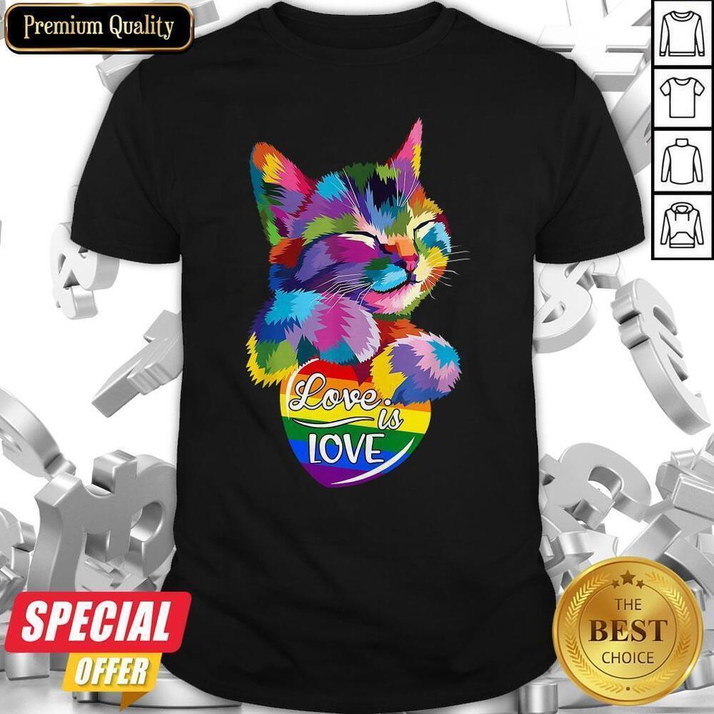 Nice Cat Lgbt Love Is Love Shirt